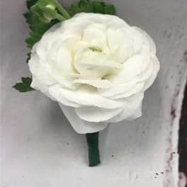 White ranunculus boutonniere with green accents