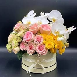 Pink and yellow roses with white orchids in a round box