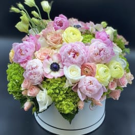 Round box arrangement of pink and cream flowers with bright green hydrangeas