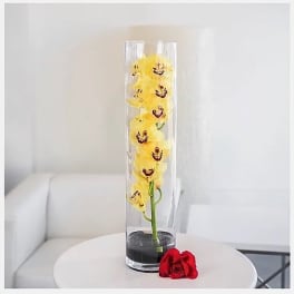 Yellow orchid in a tall clear vase with a red rose at the base