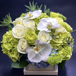 White roses and orchids arranged with lime hydrangeas in a box