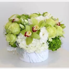 Green and white floral arrangement in a round white box