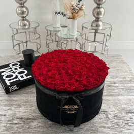 Luxury Red Preserved Roses Velvet Box