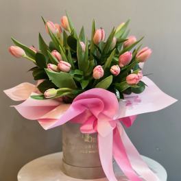 Tulips in a box