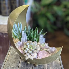 Succulent arrangement in a crescent-shaped gold container with crystal accents