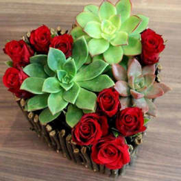 Heart-shaped arrangement of red roses and green succulents