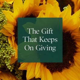 Yellow sunflowers with a green card reading "The Gift That Keeps On Giving"