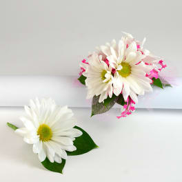 Two white daisy corsages with pink accents and green leaves
