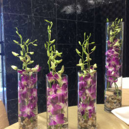 Purple orchids in tall glass vases with pebbles