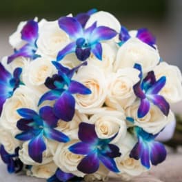 Bouquet of white roses with blue-purple orchid accents