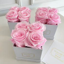 Three small boxes of pink roses on a white table