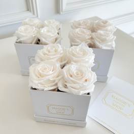 White roses arranged in square gift boxes