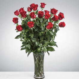 Two Dozen Long Stemmed Roses by BloomNation™