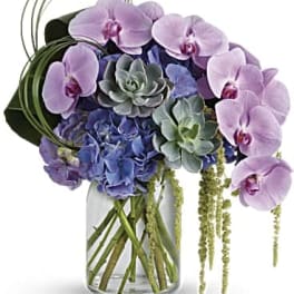 Modern arrangement with lavender orchids, blue hydrangeas, and succulents in a clear glass vase