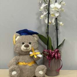 Teddy bear beside a white orchid in a ribbed vase