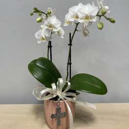 White orchid plant in a pink pot with a ribbon and cross charm