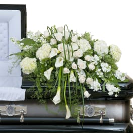 White and cream casket spray with roses, hydrangeas, and calla lilies on a black casket