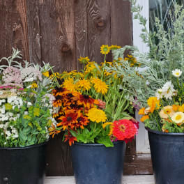 Three buckets of mixed wildflowers in front of a wooden wall