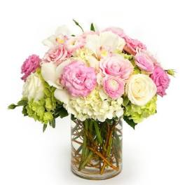 Round arrangement of pink and white roses, hydrangeas, and other blooms in a clear glass cylinder vase