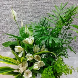White flowers and lush green foliage in a clear vase with a white ribbon