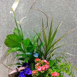 Tropical arrangement with white calla lilies and pink blooms in a birch-style container