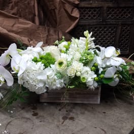 White floral arrangement with orchids and hydrangeas in a wooden box