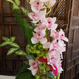 Tall arrangement of pink orchids in a dark vase