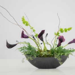 Purple calla lilies arranged in a black bowl with airy branches