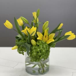 Yellow tulips and lilies arranged in a clear glass vase with green hydrangea