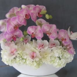 Pink orchids and white flowers arranged in a white bowl vase