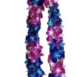 Blue & Purple Lei