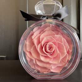 Single pink rose in a clear round gift box with a black ribbon