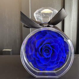 Blue rose in a clear round gift box with a black ribbon