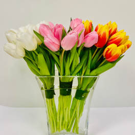 Bouquet of white, pink, and yellow-red tulips in a clear glass vase