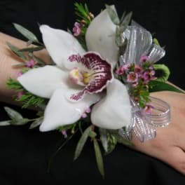 White orchid wrist corsage with silver ribbon on a wrist