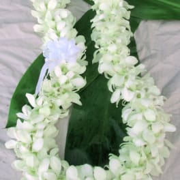 White orchid lei with a pale blue ribbon on green leaves