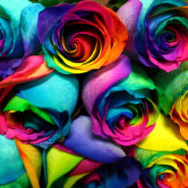 Bouquet of rainbow-colored roses