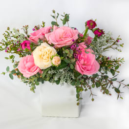 Pink and cream roses arranged in a white square vase