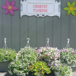 Outdoor display of hanging baskets with mixed flowers beneath a "Country Flowers" sign