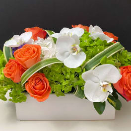 Orange roses and white orchids arranged in a white rectangular box