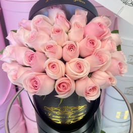 Compact arrangement of pale pink roses in a black hatbox with gold lettering
