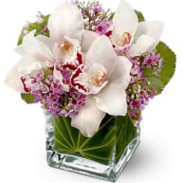 White orchids and purple filler flowers in a clear glass vase