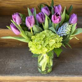Purple tulips and green hydrangea in a clear glass vase