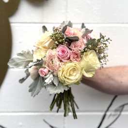Handheld bouquet of pink and cream roses with gray foliage