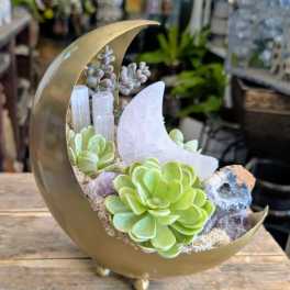 Moon-shaped planter with succulents and a decorative crescent moon