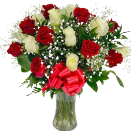 Arrangement of red and white roses with baby's breath in a clear glass vase with a red bow