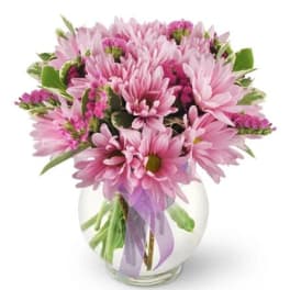 Pink daisy bouquet in a clear glass vase with a lavender ribbon