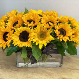 Sunflower arrangement in a rectangular glass vase with dark ribbon