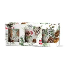 Boxed white spruce votive gift set with pinecone and berry artwork
