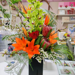 Tropical flower arrangement with orchids, lilies, and protea in a black vase